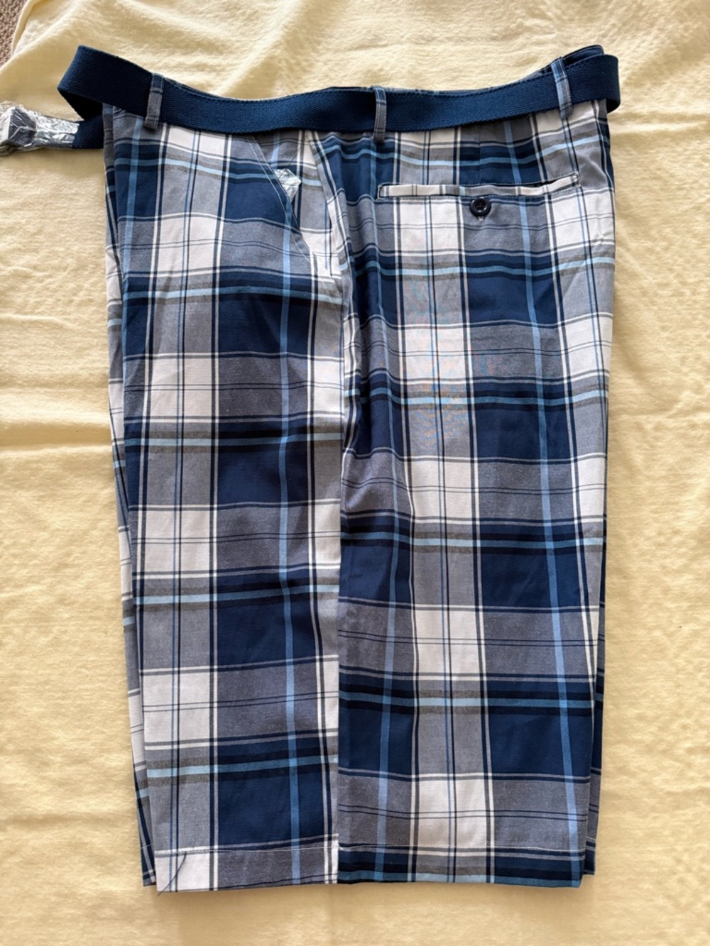 Men's Blue Plaid Shorts